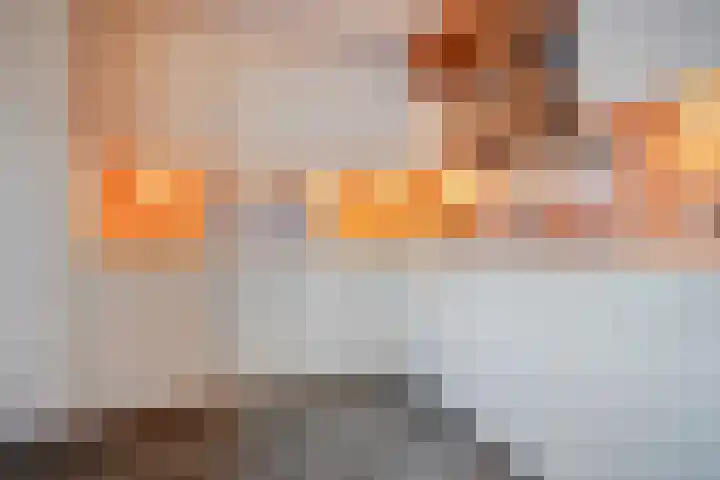 de Schouw 56 Raalte thumbnail 23