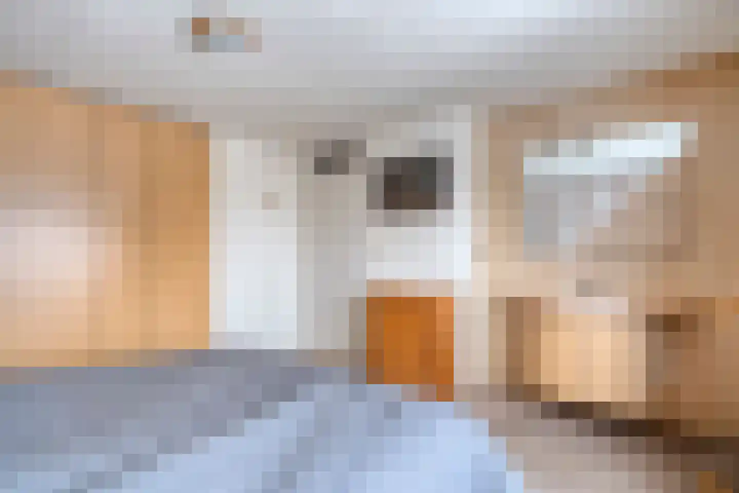 de Schouw 56 Raalte thumbnail 28