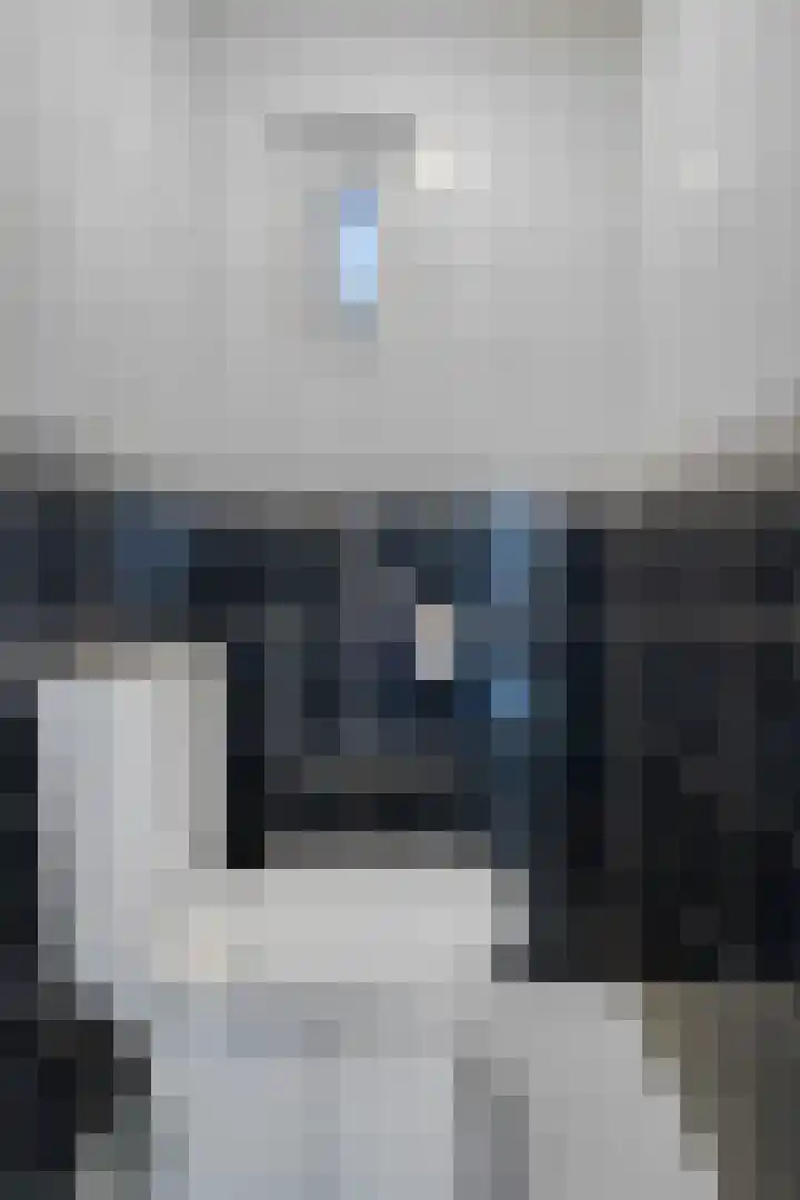 de Schouw 56 Raalte thumbnail 28