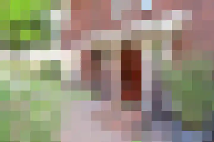 de Schouw 56 Raalte thumbnail 30