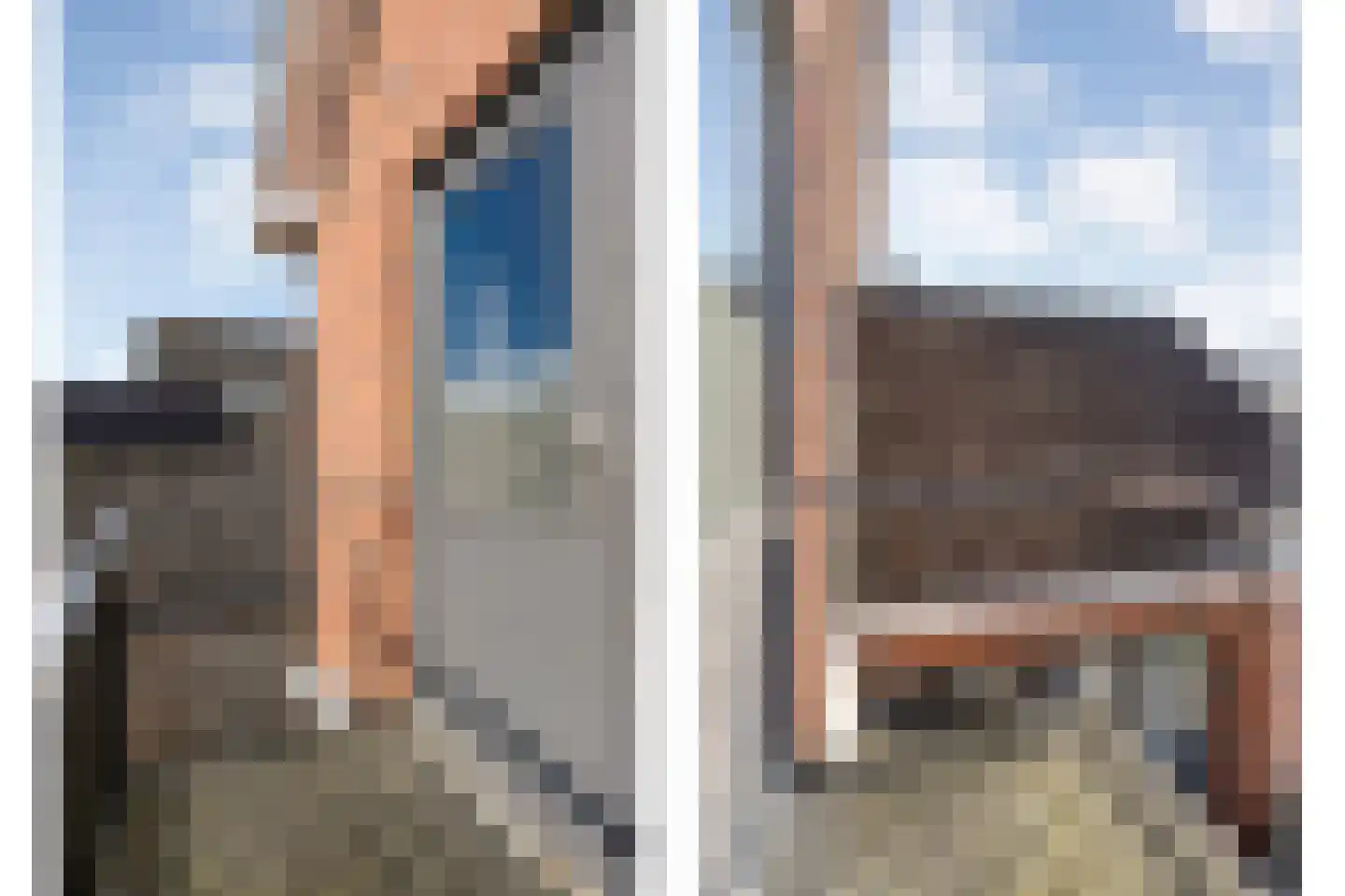 de Schouw 56 Raalte thumbnail 30