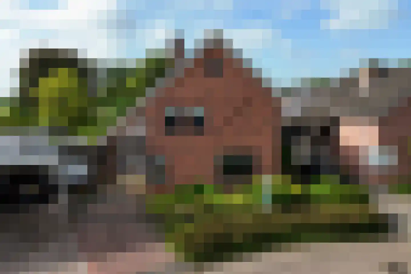 de Schouw 56 Raalte thumbnail 4