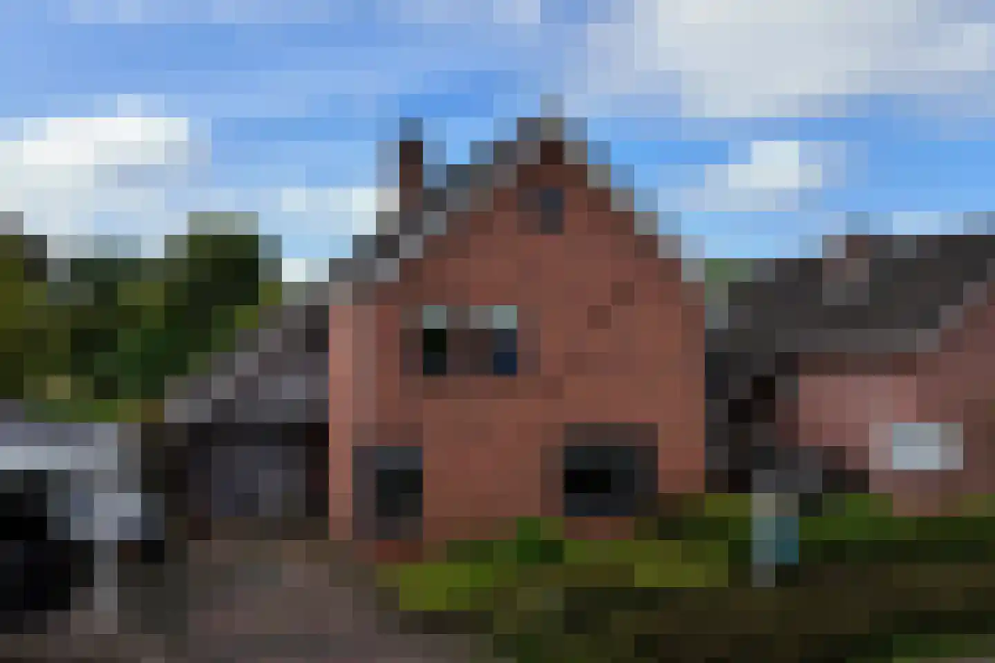 de Schouw 56 Raalte thumbnail 4