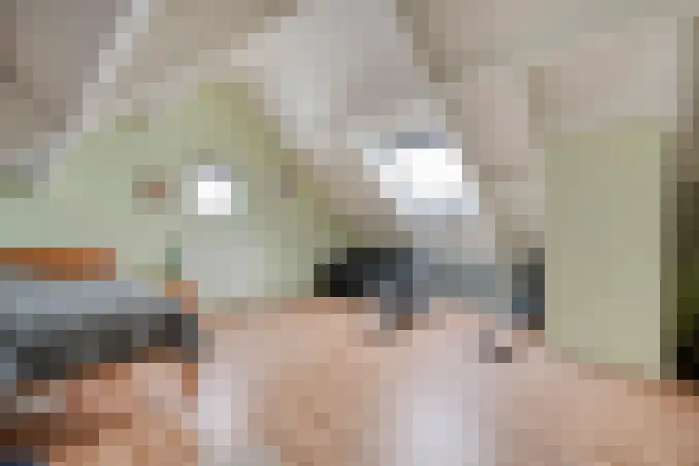 de Schouw 56 Raalte thumbnail 42