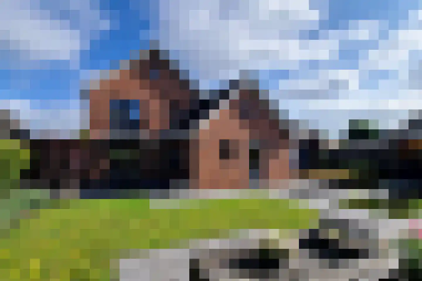 de Schouw 56 Raalte thumbnail 42