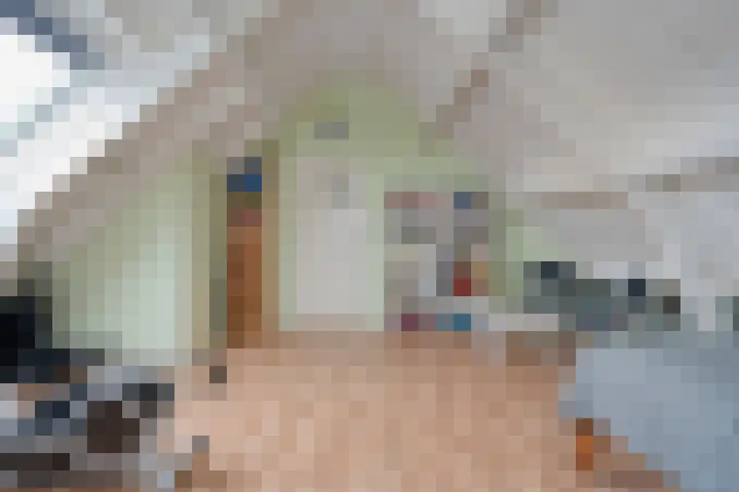de Schouw 56 Raalte thumbnail 43