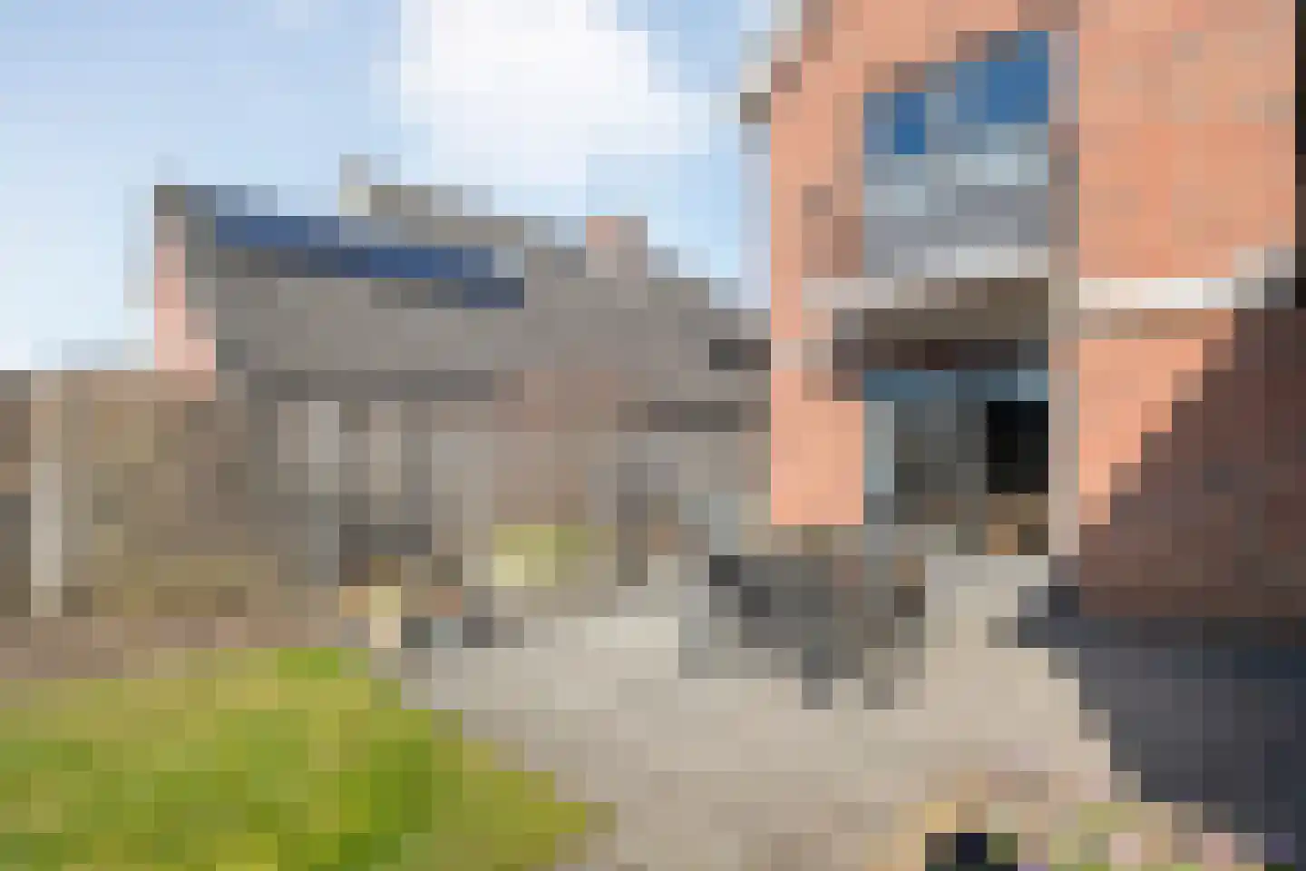 de Schouw 56 Raalte thumbnail 46