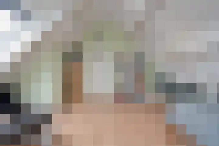 de Schouw 56 Raalte thumbnail 47