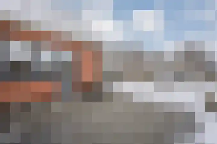 de Schouw 56 Raalte thumbnail 49