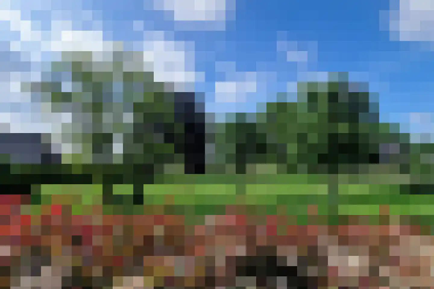 de Schouw 56 Raalte thumbnail 50