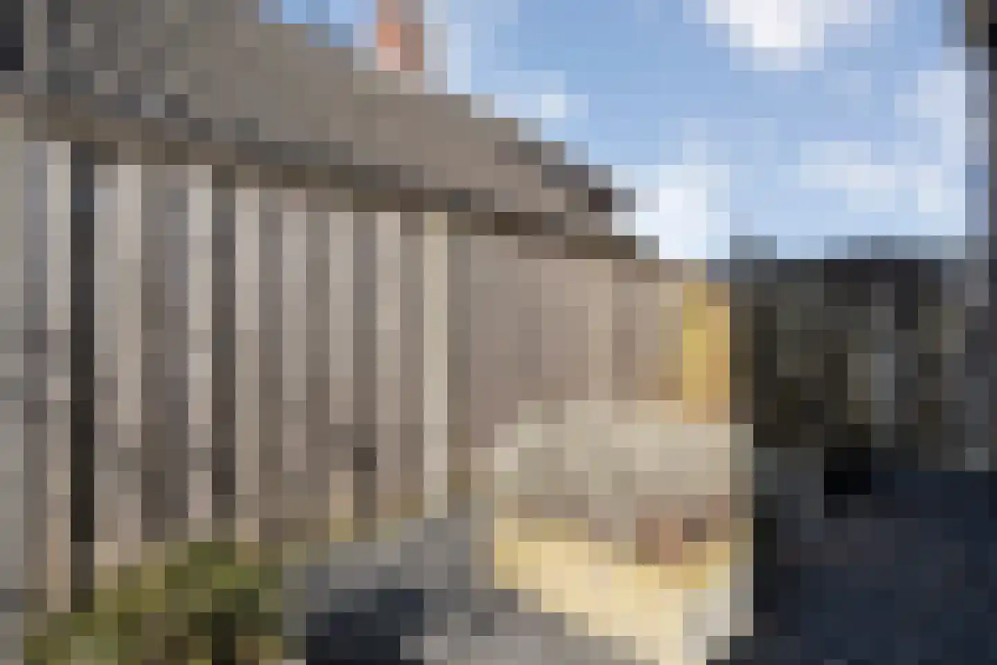de Schouw 56 Raalte thumbnail 51