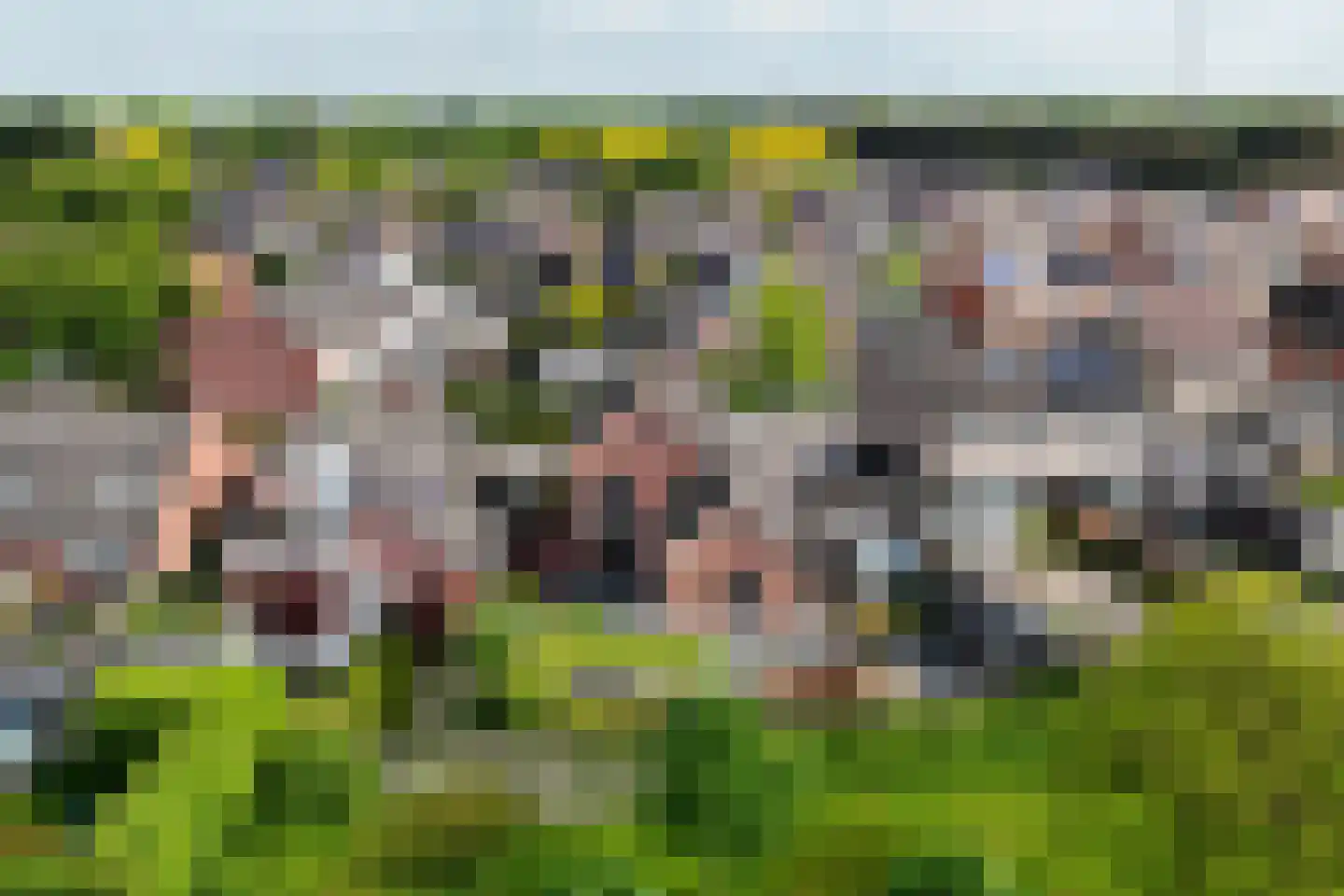 de Schouw 56 Raalte thumbnail 52