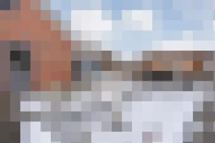 de Schouw 56 Raalte thumbnail 54