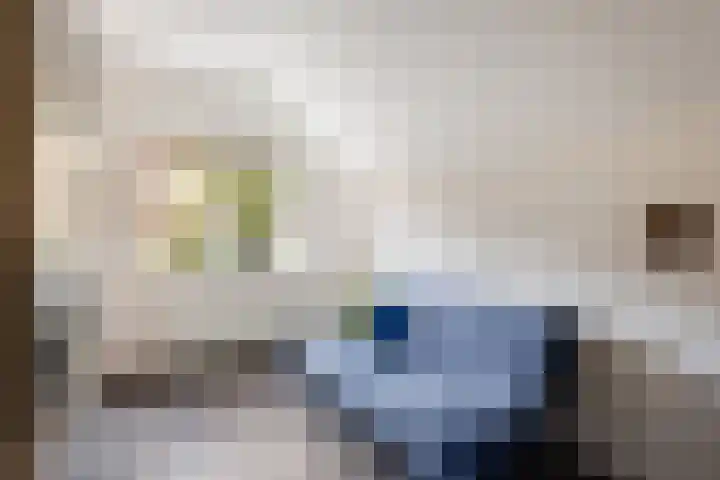 de Schouw 56 Raalte thumbnail 55