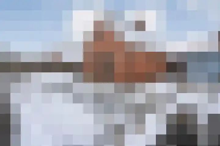 de Schouw 56 Raalte thumbnail 57