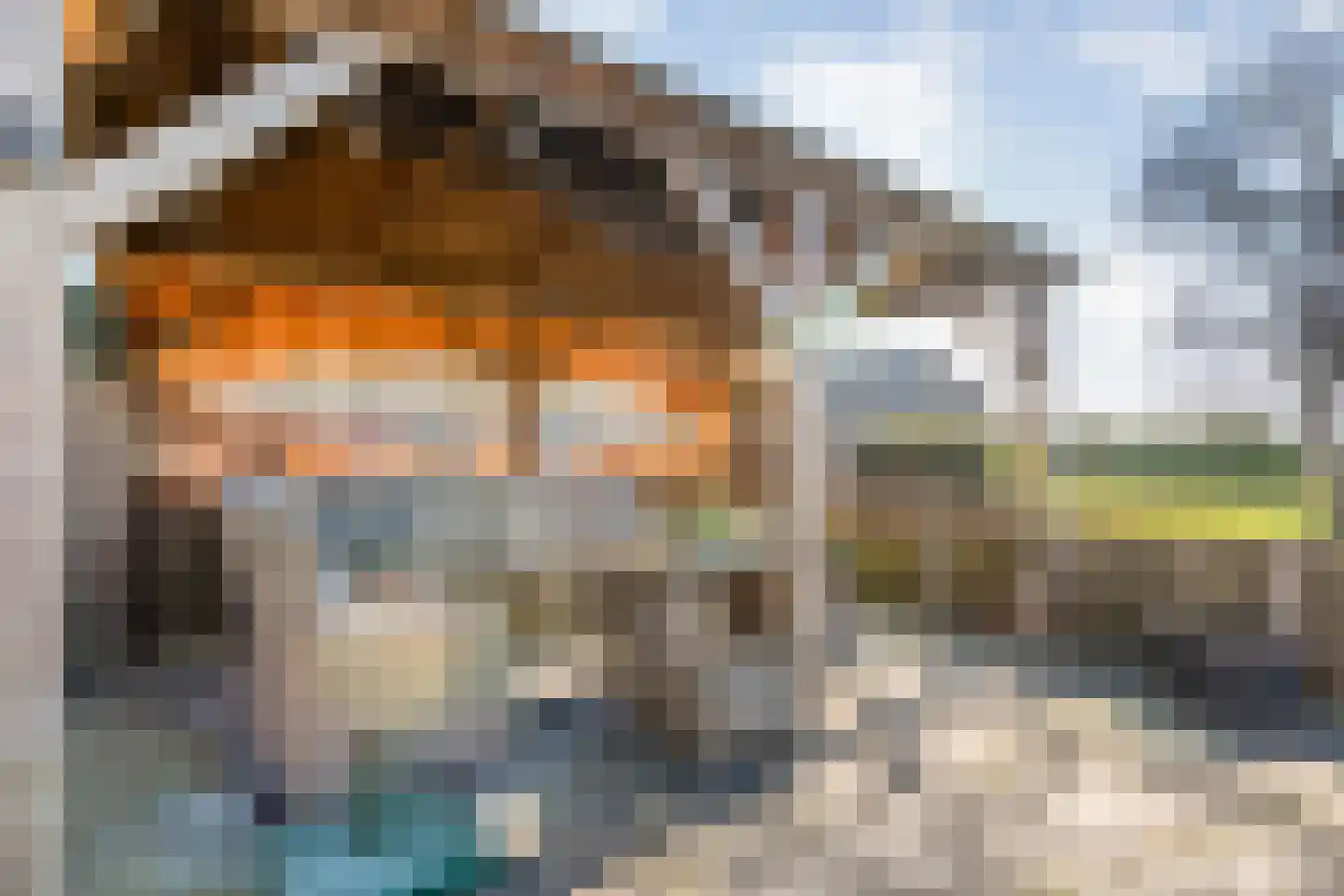 de Schouw 56 Raalte thumbnail 58