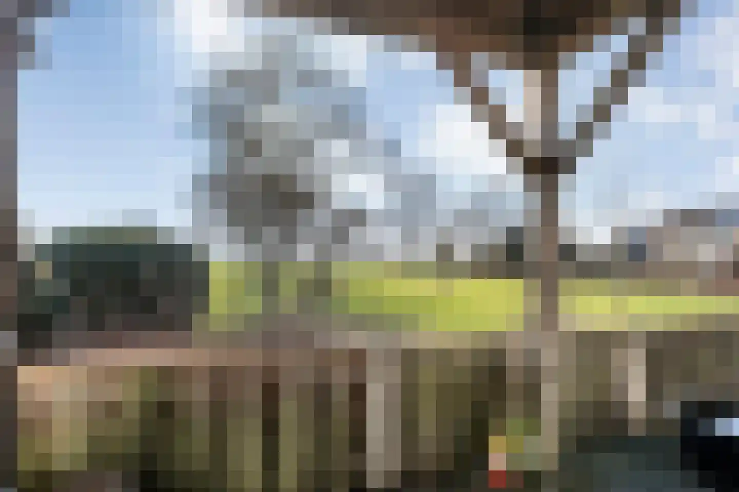 de Schouw 56 Raalte thumbnail 59