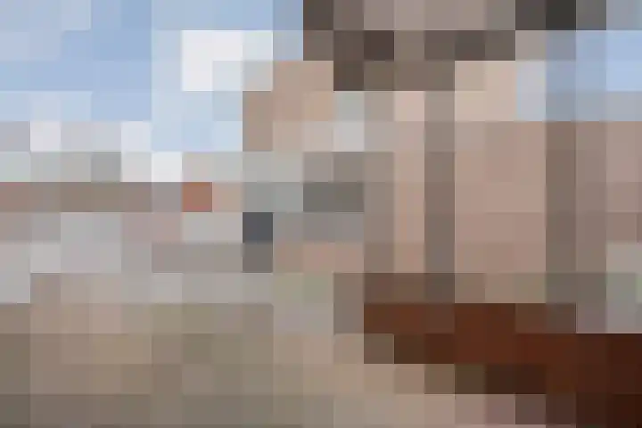 de Schouw 56 Raalte thumbnail 59