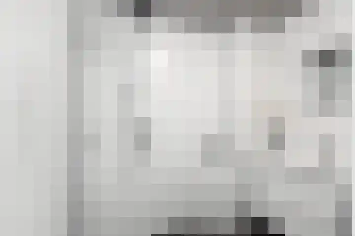 de Schouw 56 Raalte thumbnail 7