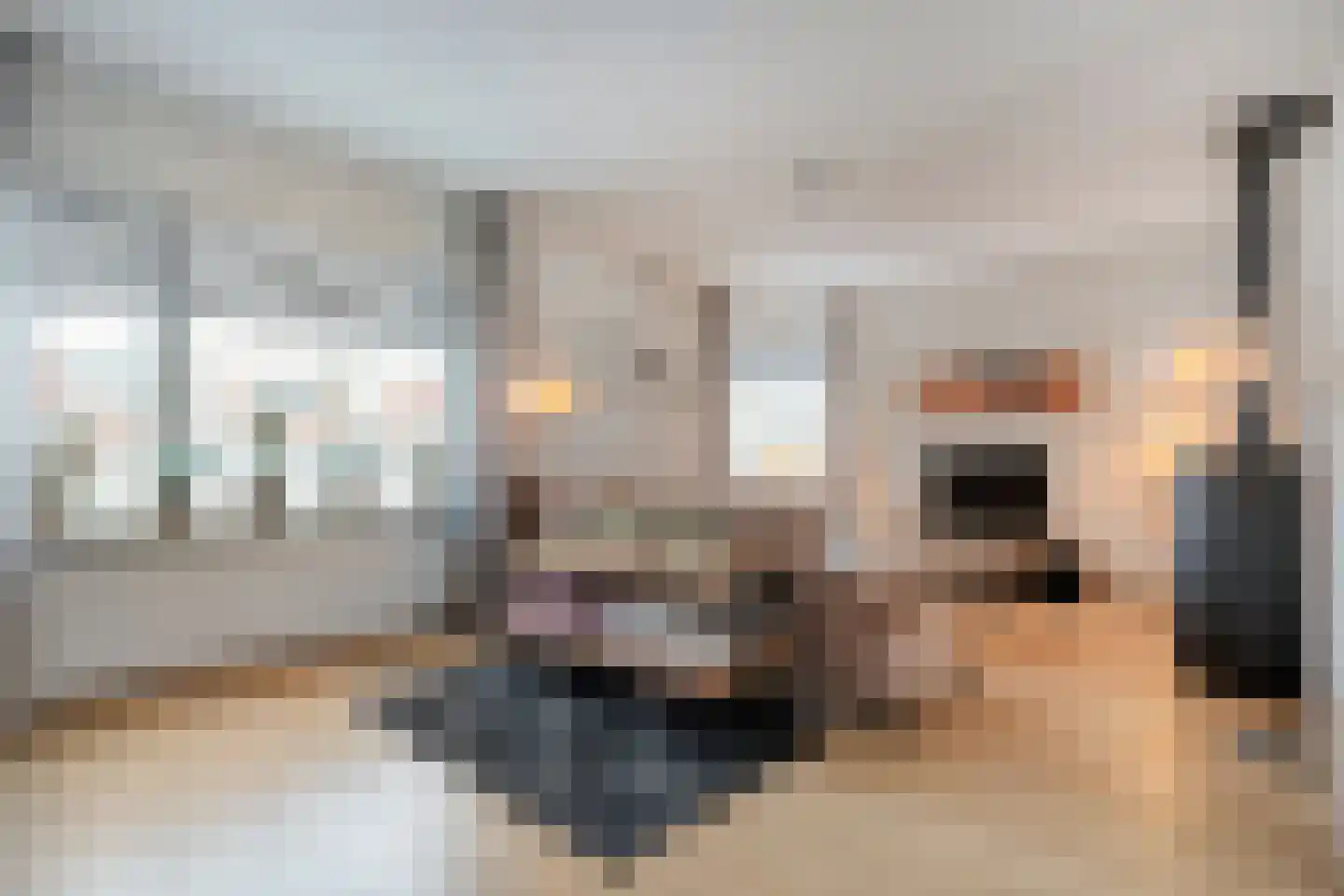 de Schouw 56 Raalte thumbnail 9