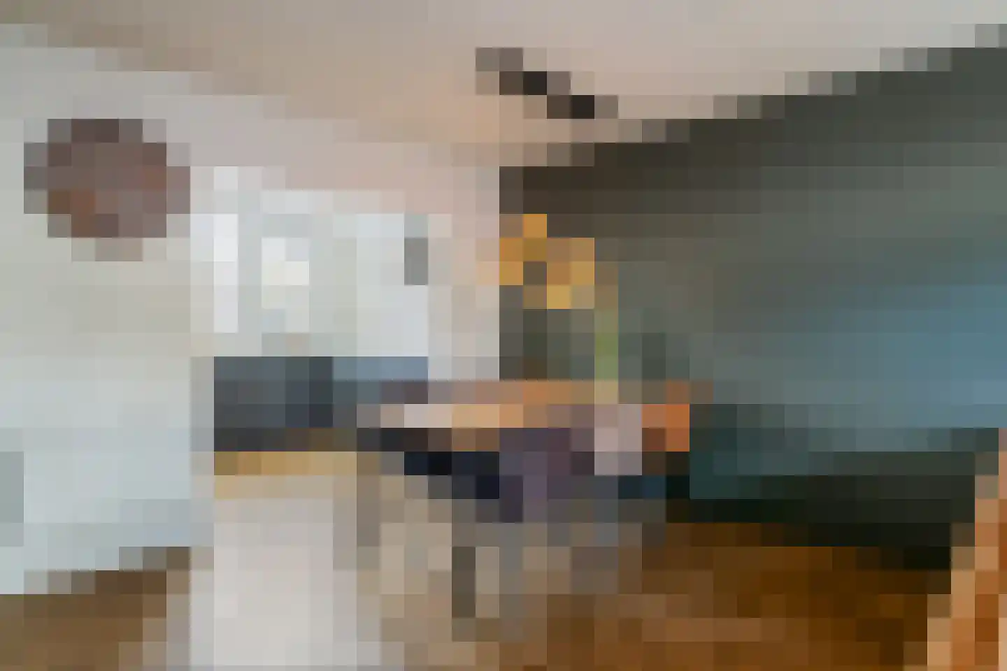 de Schouw 59 Raalte thumbnail 10