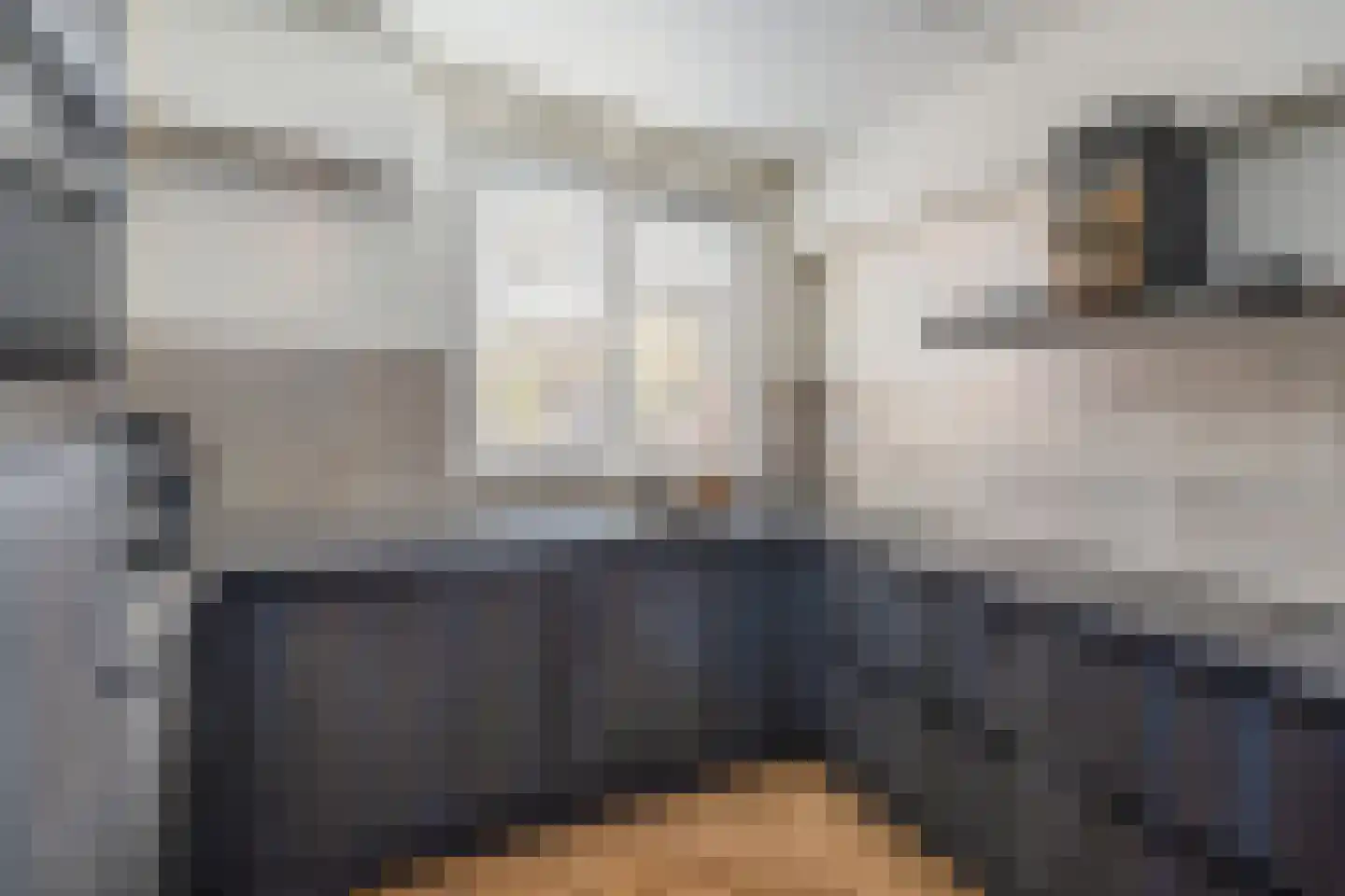 de Schouw 59 Raalte thumbnail 13
