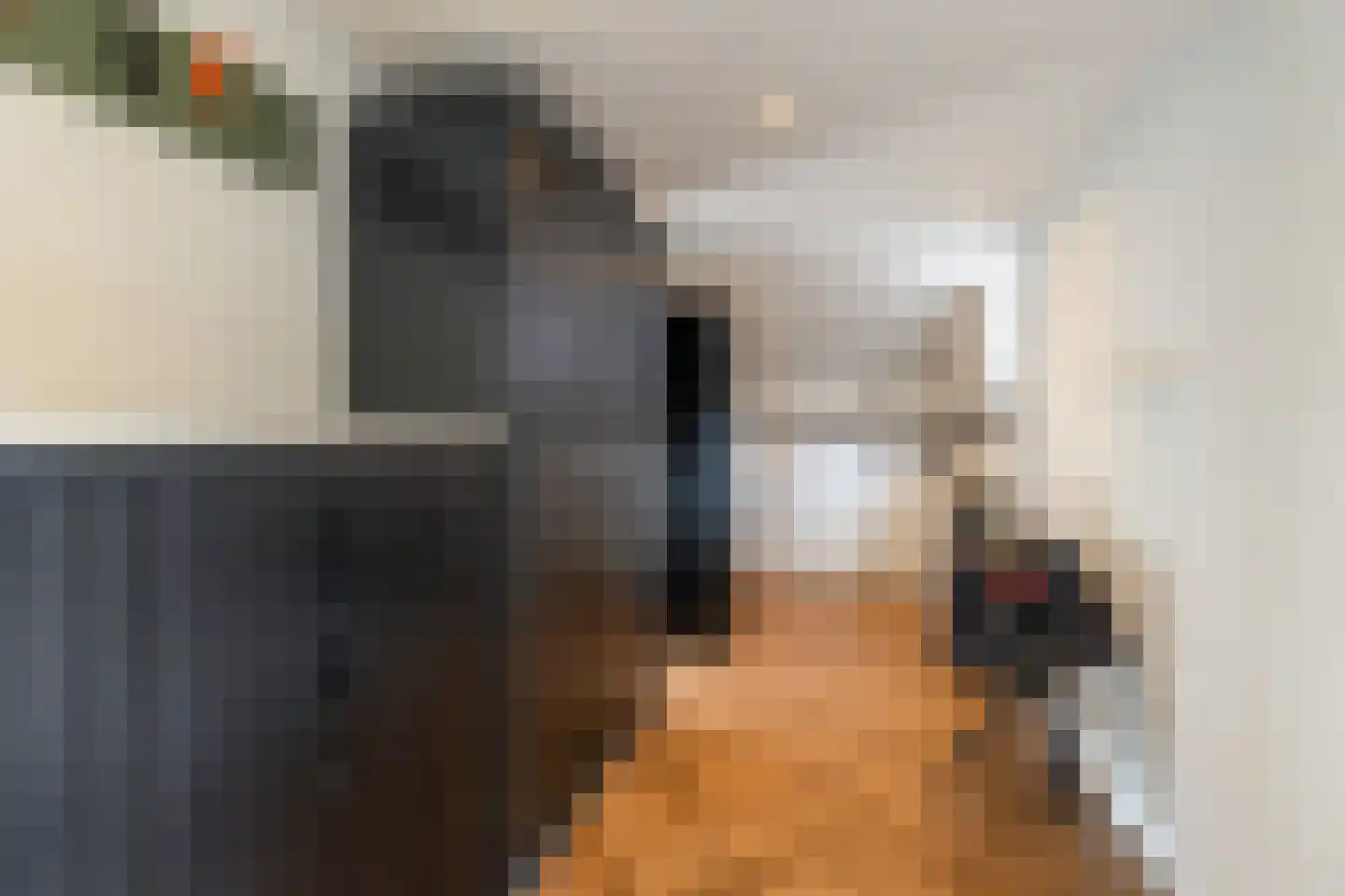 de Schouw 59 Raalte thumbnail 16