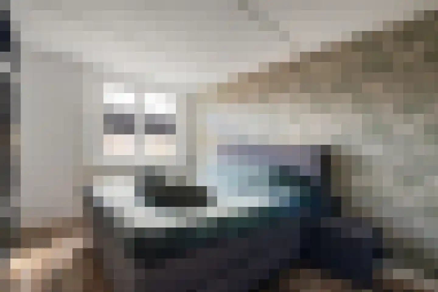 de Schouw 59 Raalte thumbnail 17