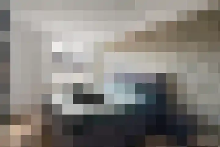de Schouw 59 Raalte thumbnail 17