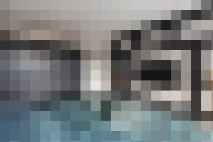 de Schouw 59 Raalte thumbnail 18