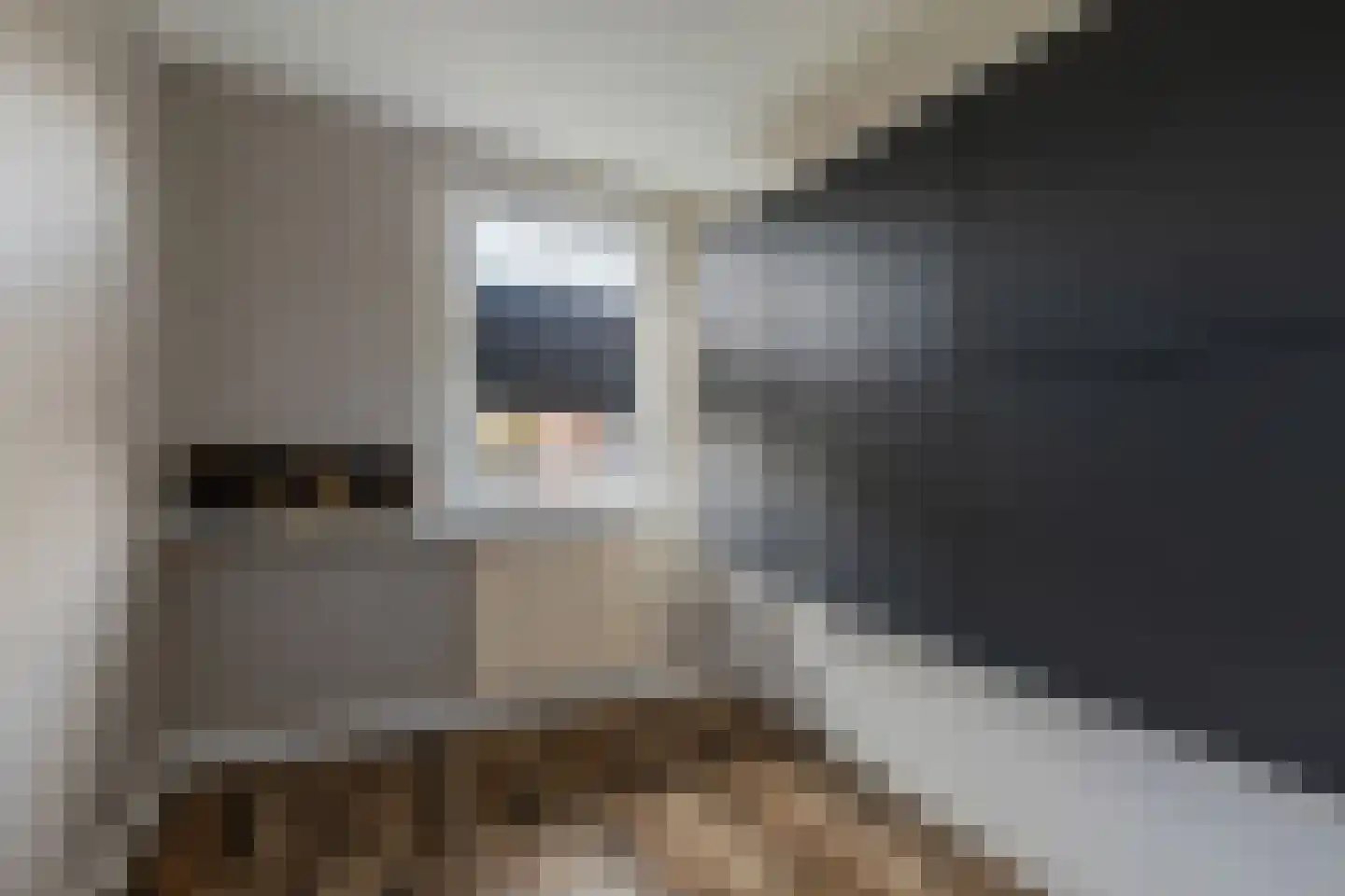 de Schouw 59 Raalte thumbnail 19