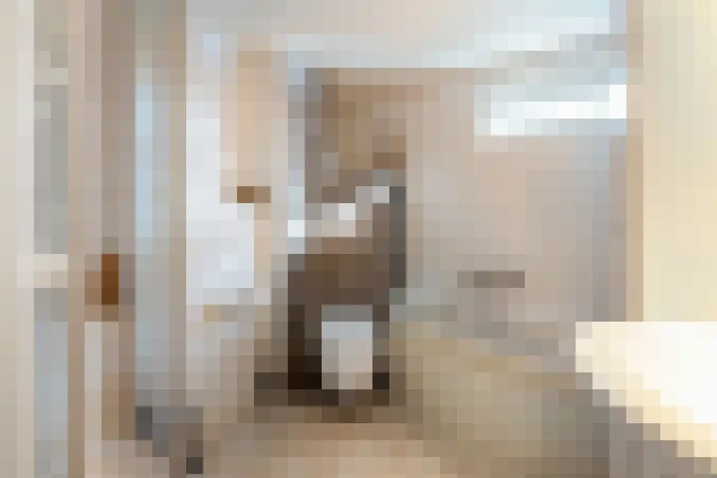 de Schouw 59 Raalte thumbnail 21