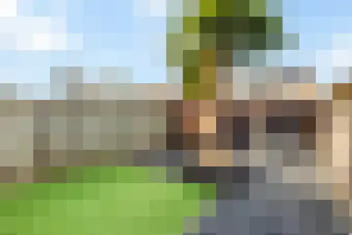 de Schouw 59 Raalte thumbnail 29
