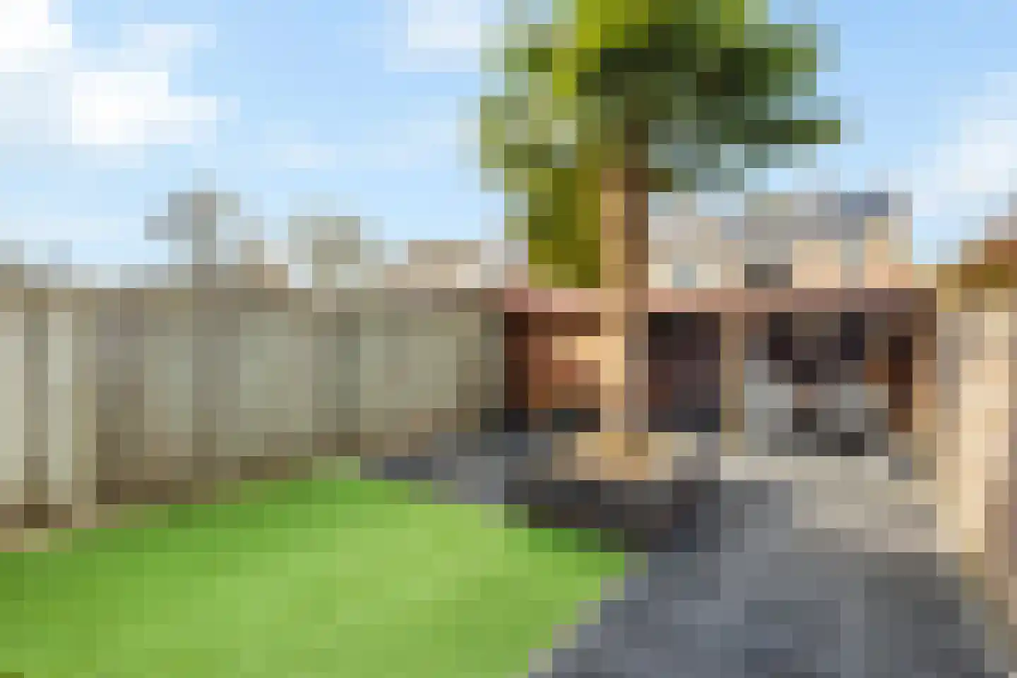 de Schouw 59 Raalte thumbnail 29