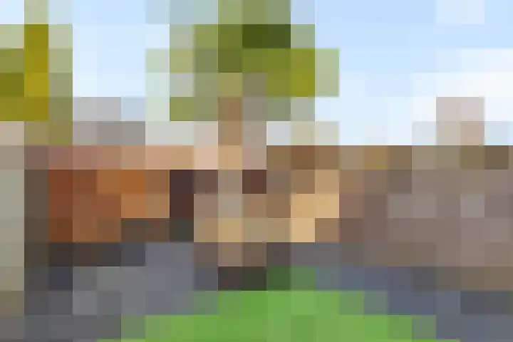 de Schouw 59 Raalte thumbnail 30