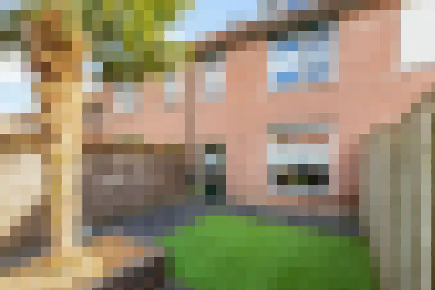de Schouw 59 Raalte thumbnail 31