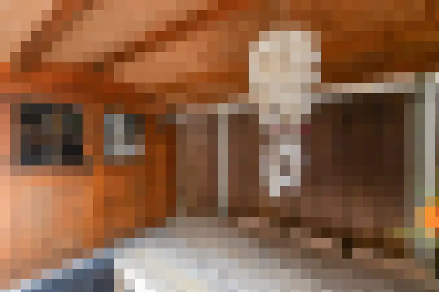 de Schouw 59 Raalte thumbnail 33