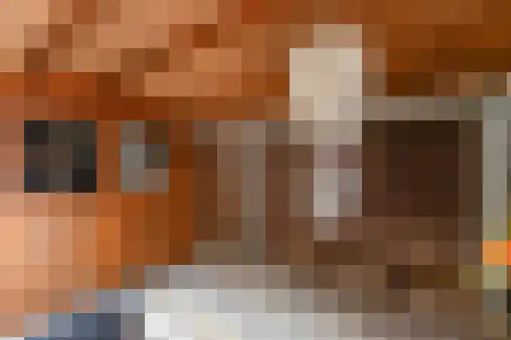 de Schouw 59 Raalte thumbnail 33