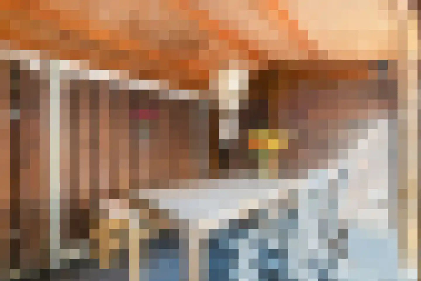 de Schouw 59 Raalte thumbnail 34