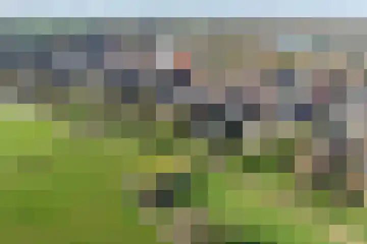 de Schouw 59 Raalte thumbnail 36