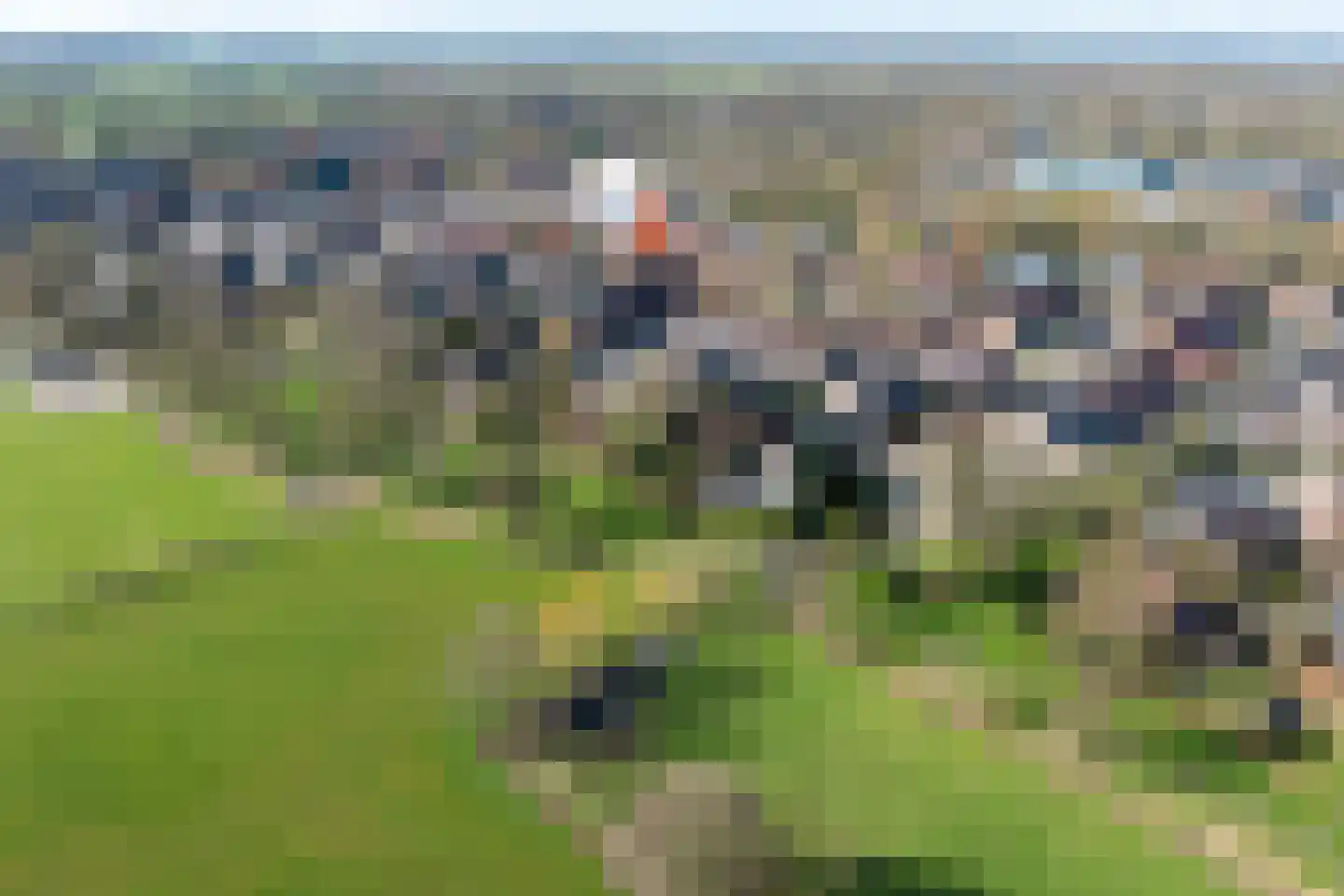de Schouw 59 Raalte thumbnail 36