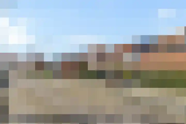 de Schouw 59 Raalte thumbnail 4