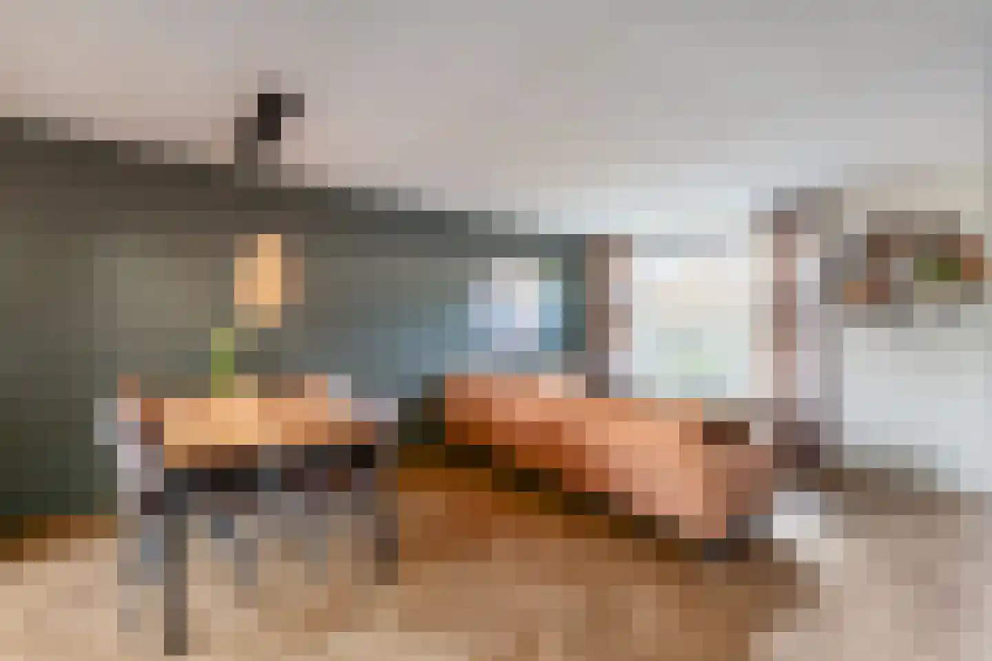 de Schouw 59 Raalte thumbnail 5