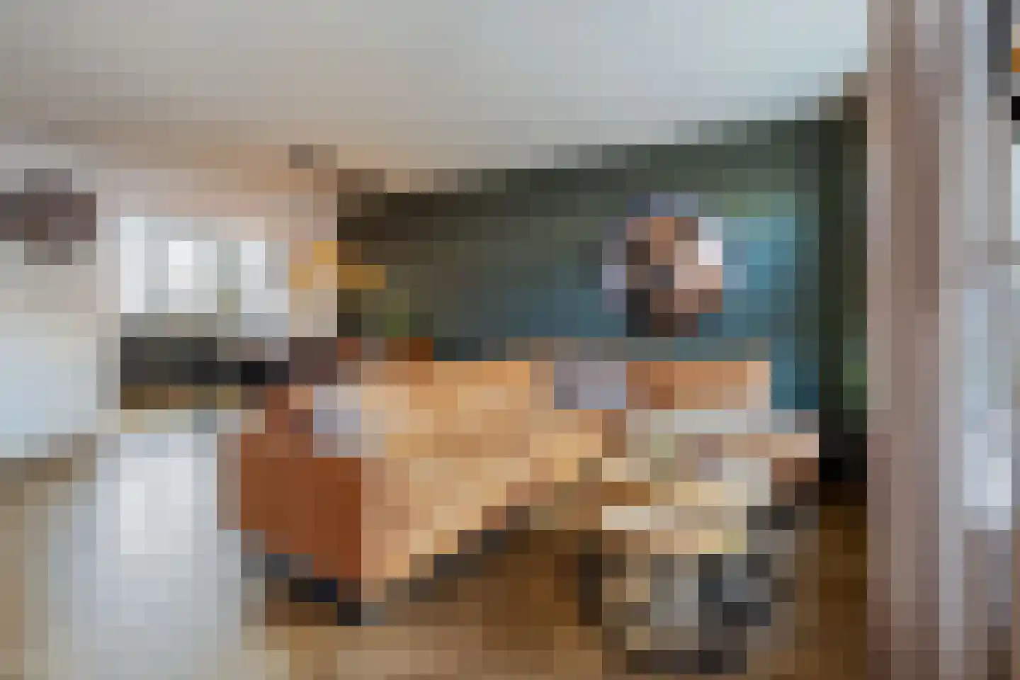 de Schouw 59 Raalte thumbnail 6