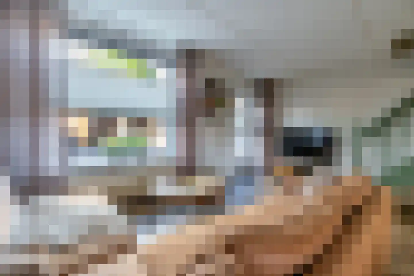 de Schouw 59 Raalte thumbnail 7