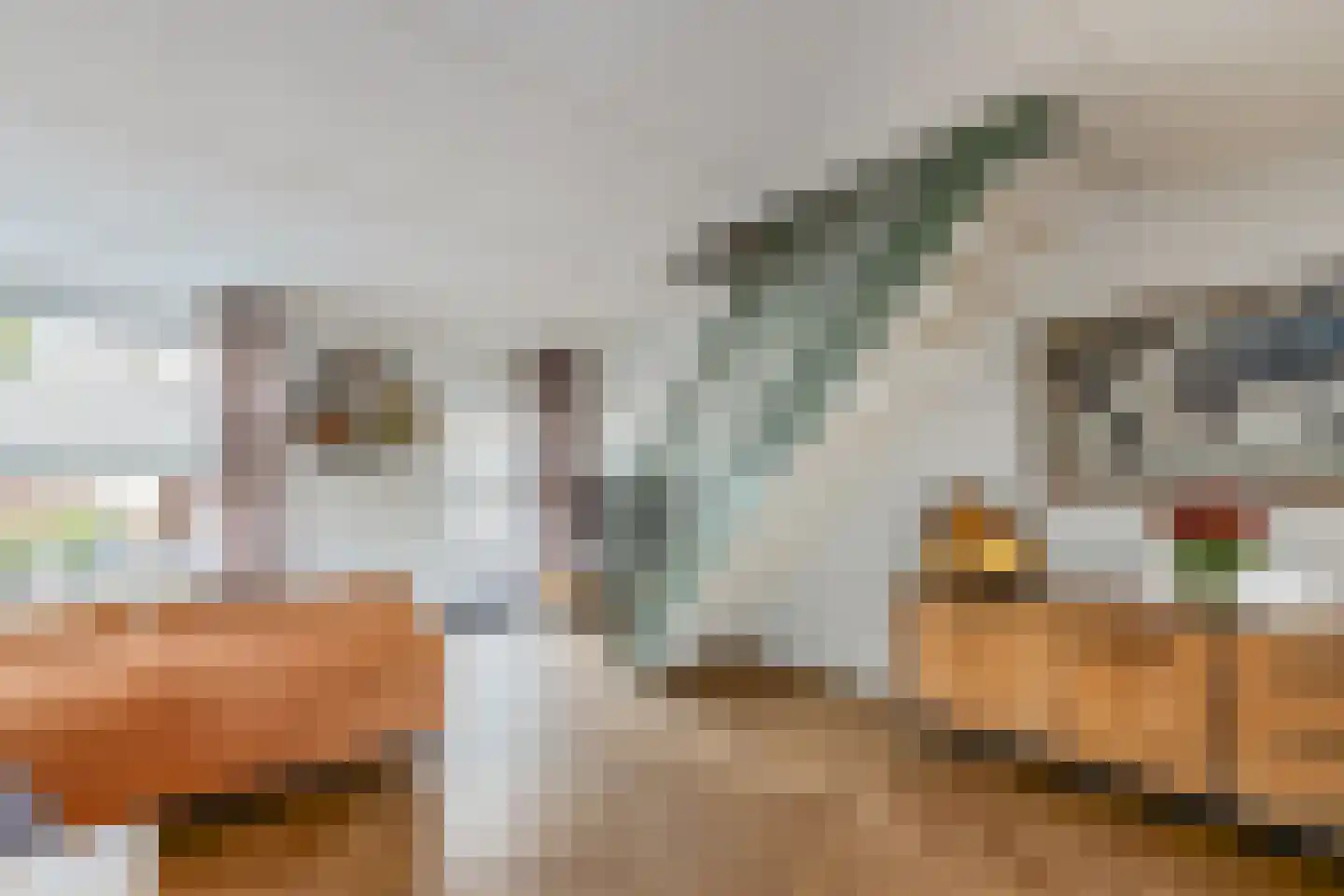 de Schouw 59 Raalte thumbnail 9