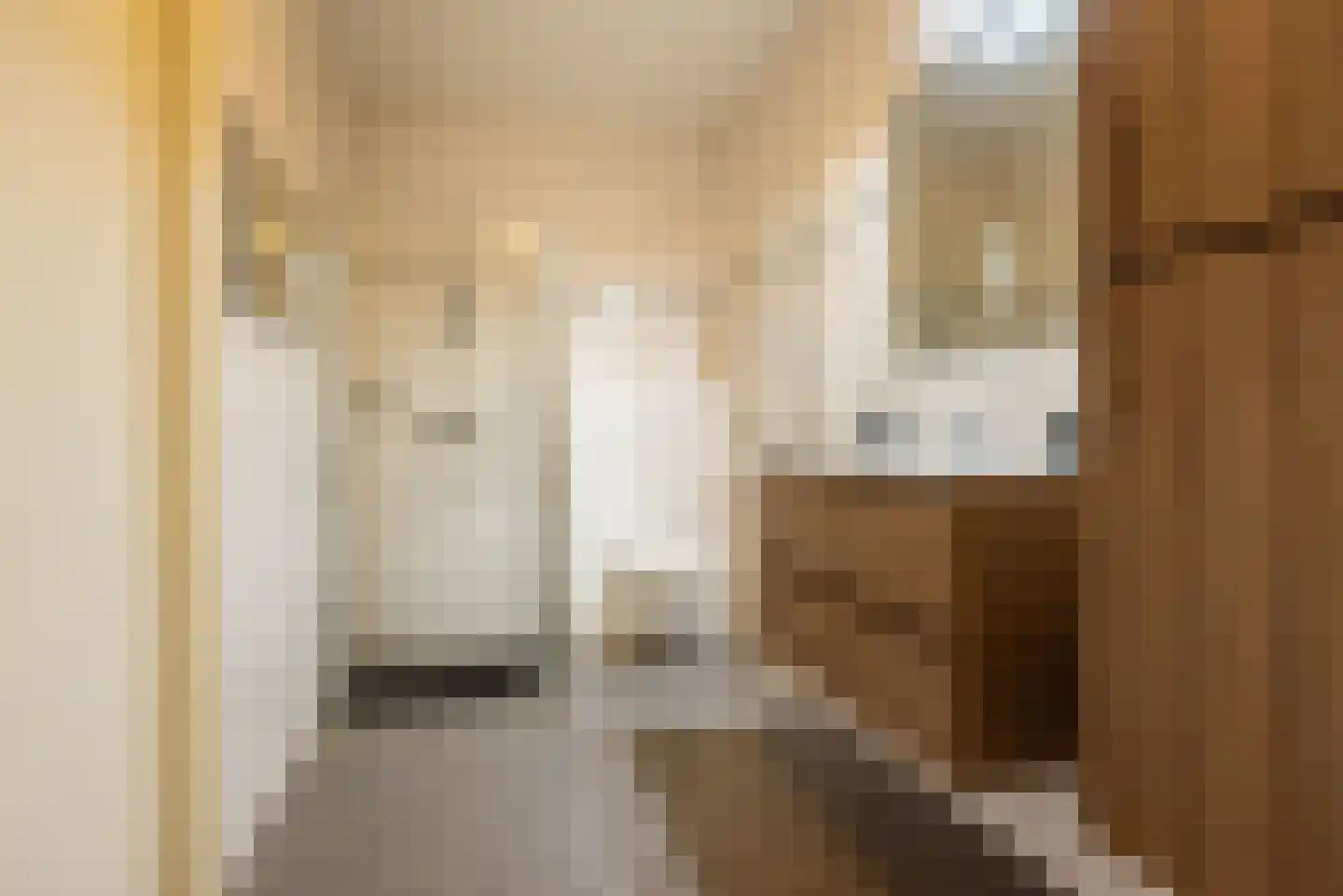 De Schouwgraaf 15 Ulft thumbnail 22