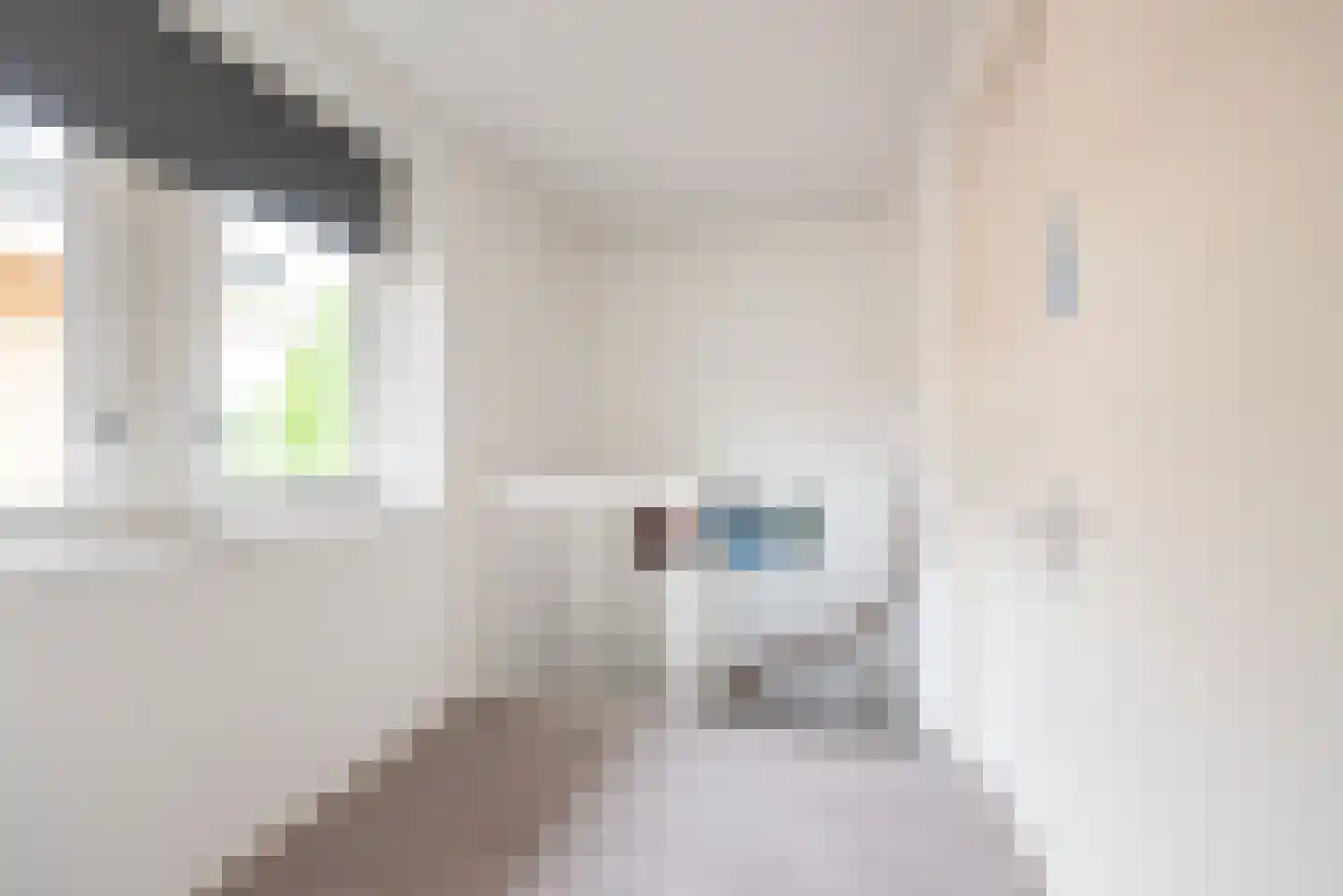 De Schouwgraaf 15 Ulft thumbnail 30