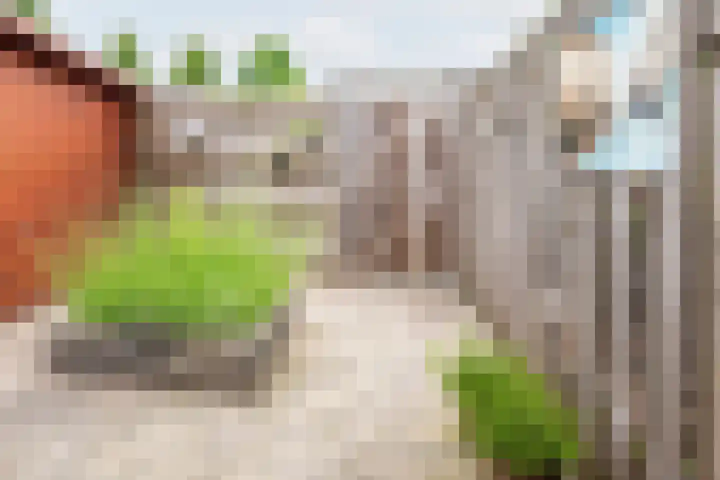 De Schouwgraaf 15 Ulft thumbnail 36