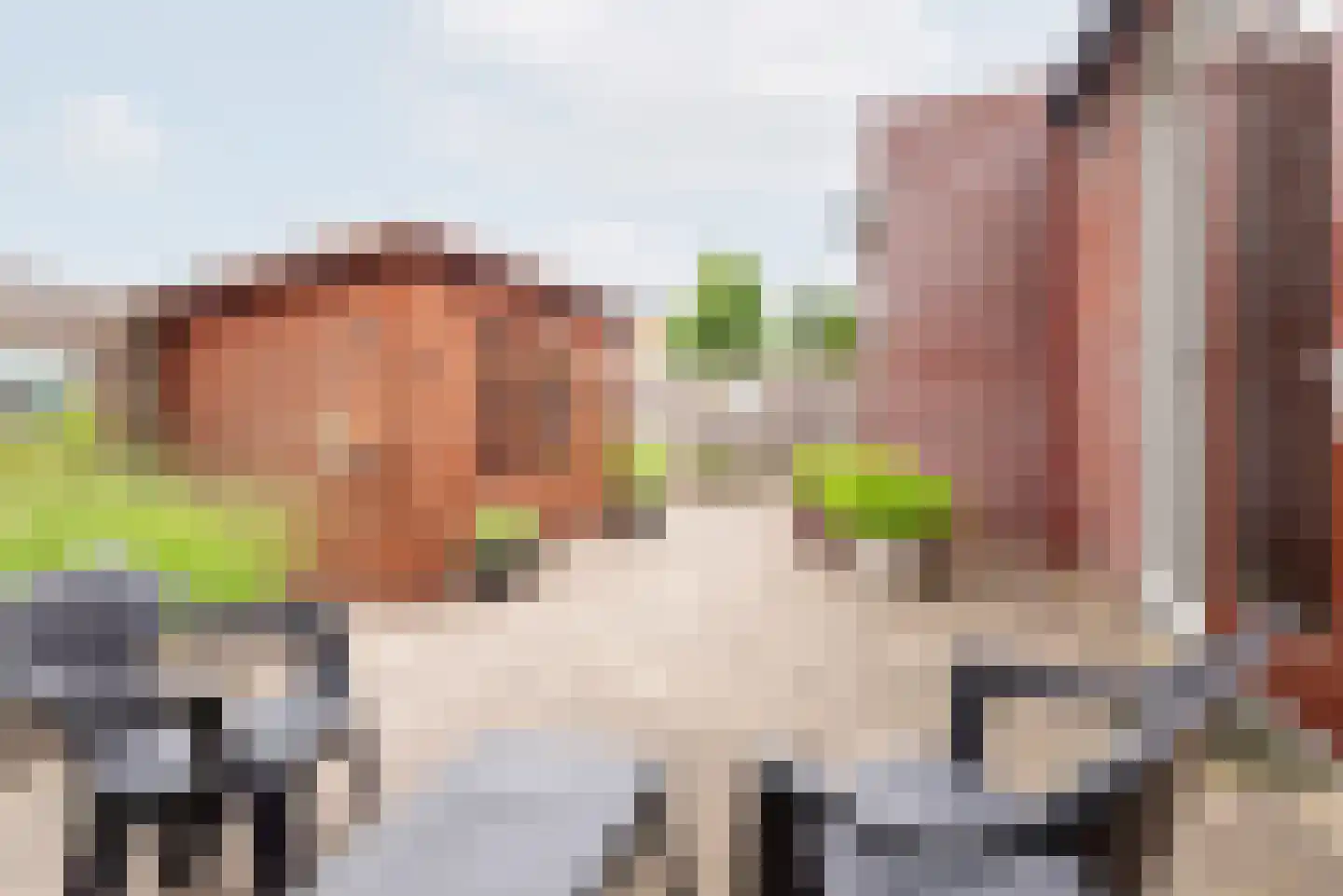 De Schouwgraaf 15 Ulft thumbnail 4
